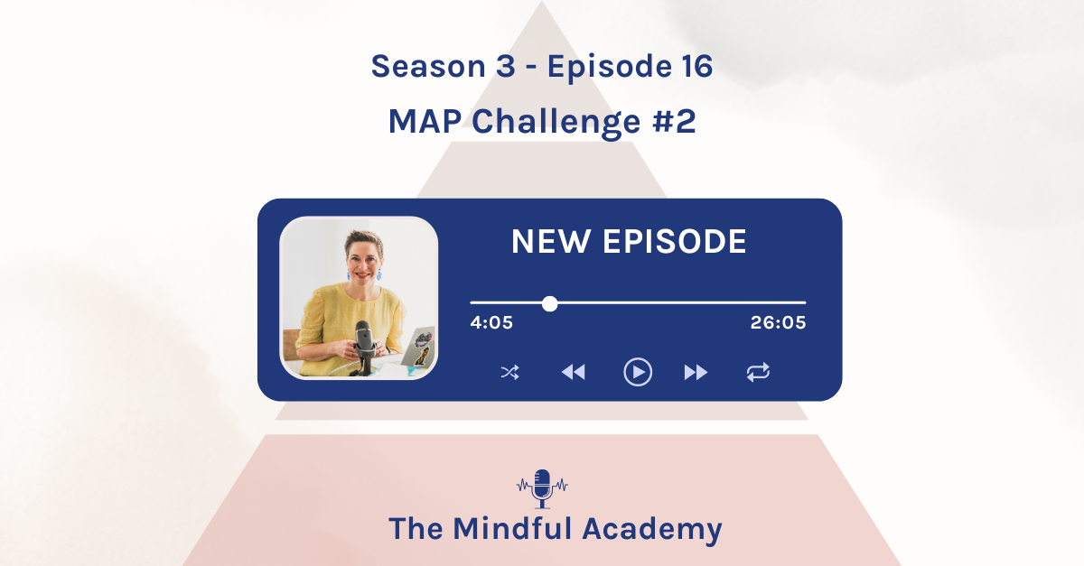 MAP Challenge #2